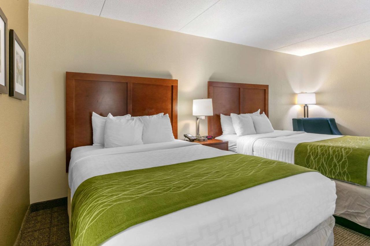 Comfort Inn Downtown Chattanooga Eksteriør billede